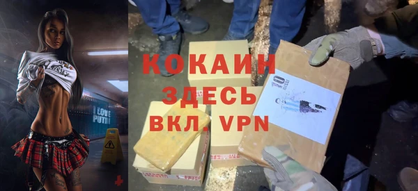 ГАЛЛЮЦИНОГЕННЫЕ ГРИБЫ Аркадак