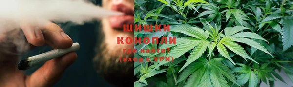 каннабис Арсеньев